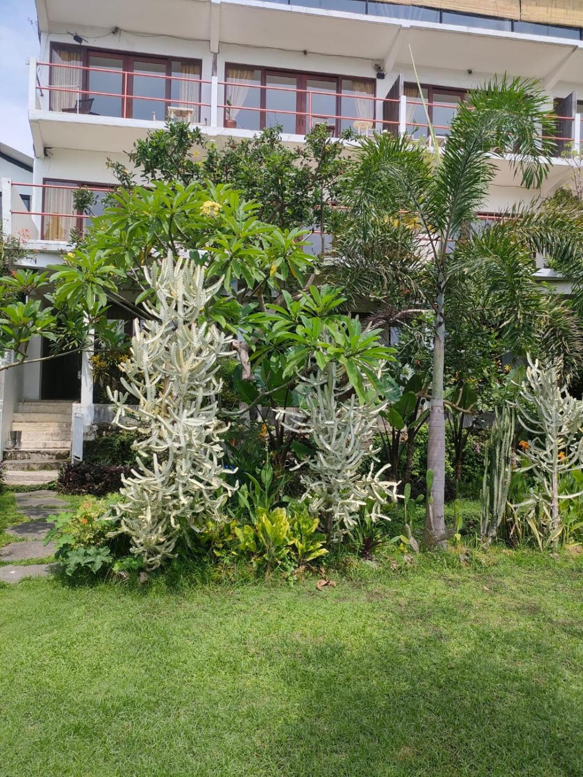 Villa Lotus 8 Canggu  Ngoại thất bức ảnh
