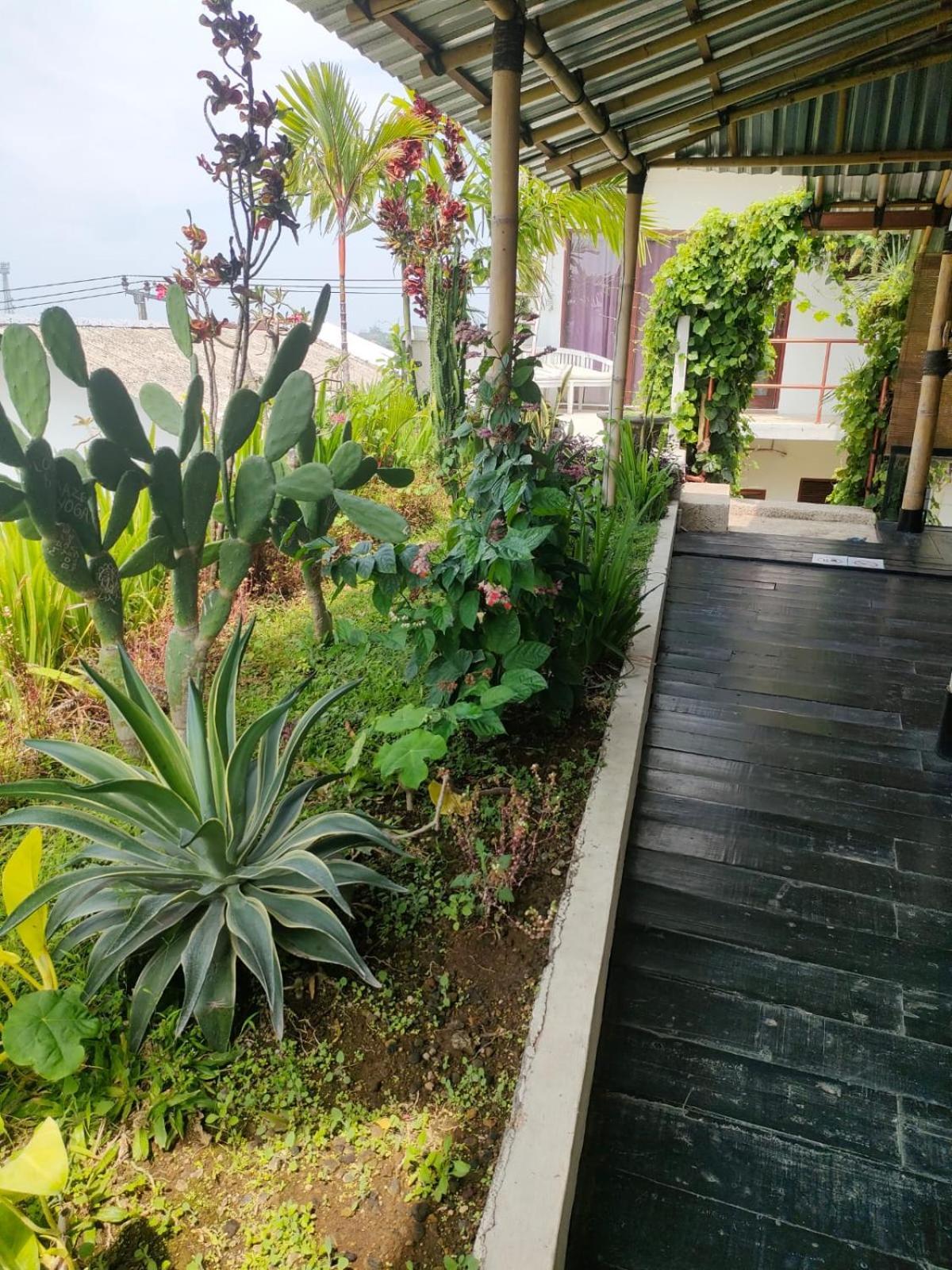 Villa Lotus 8 Canggu  Ngoại thất bức ảnh